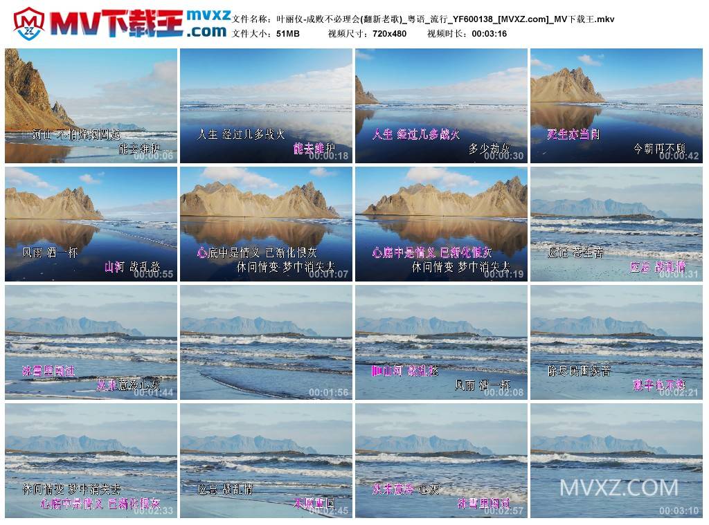 叶丽仪-成败不必理会(翻新老歌)_粤语_流行_YF600138